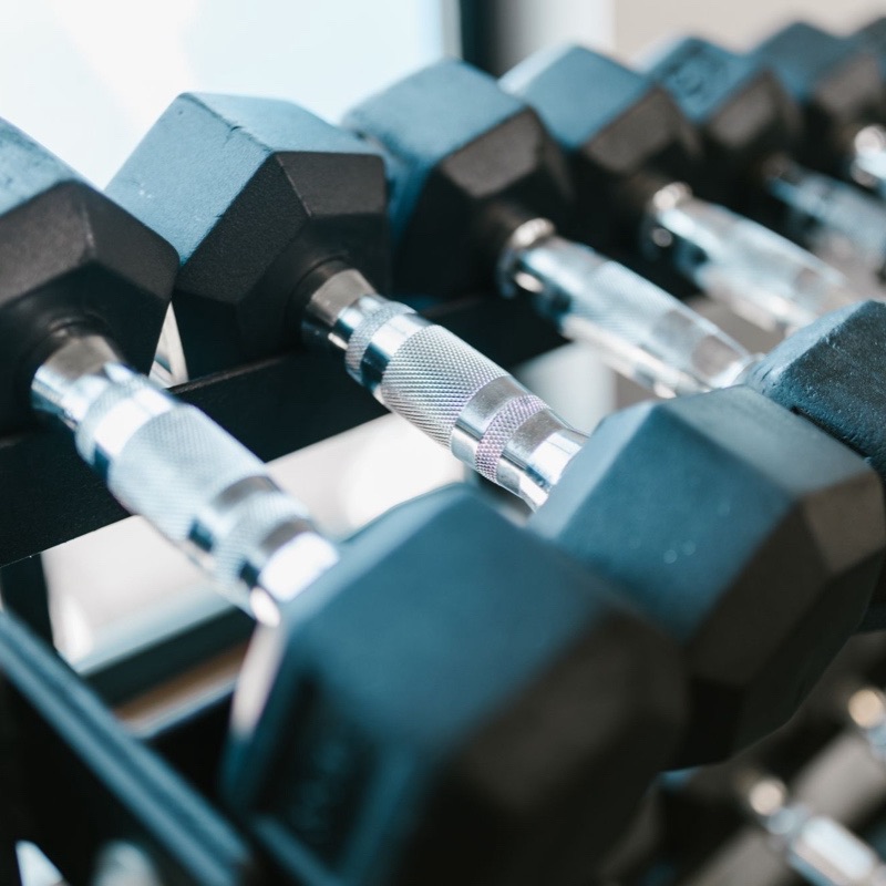 A rack of dumbbells in window light.